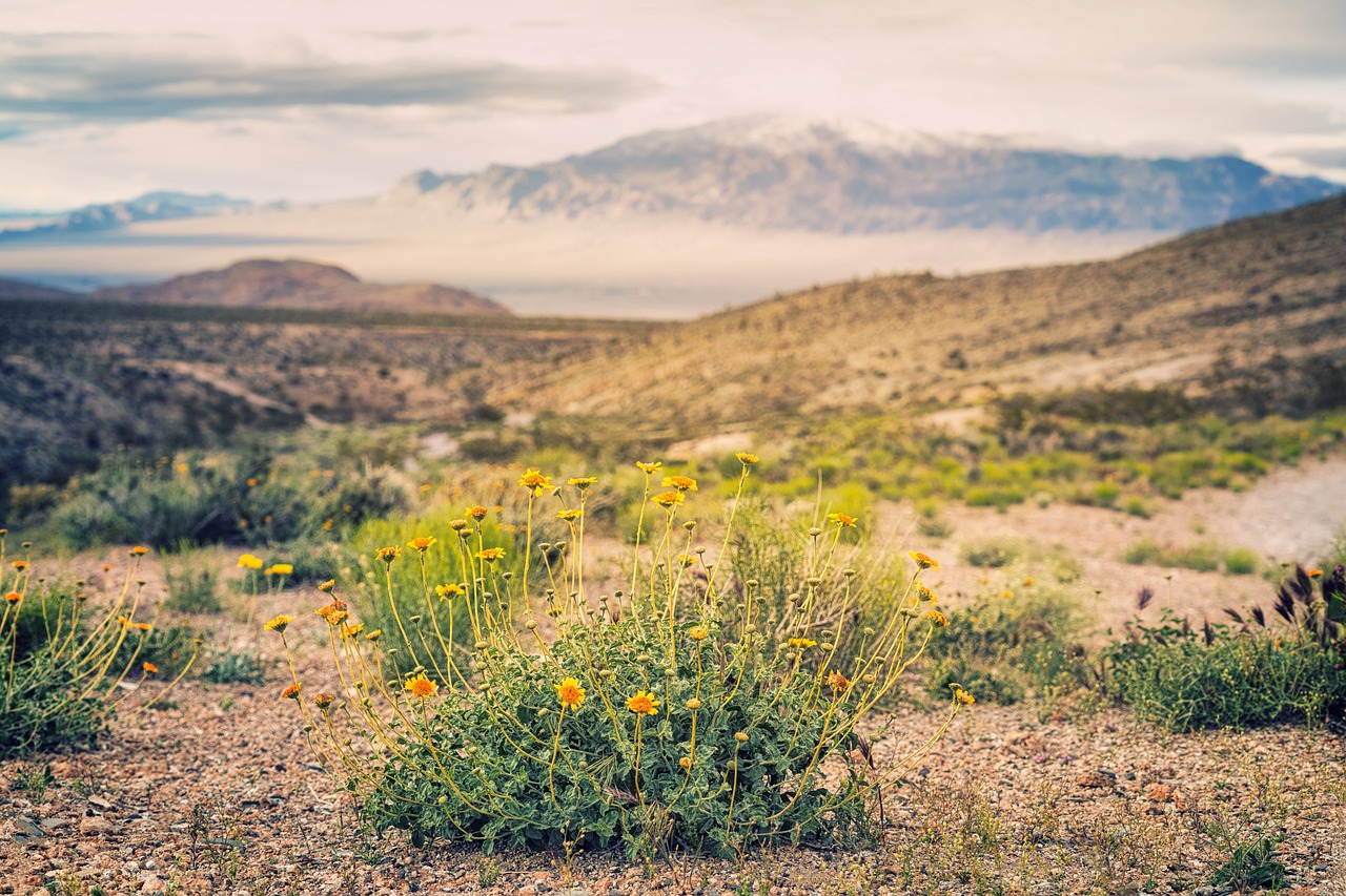 The Quiet Corners of Spain’s Sierra Nevada